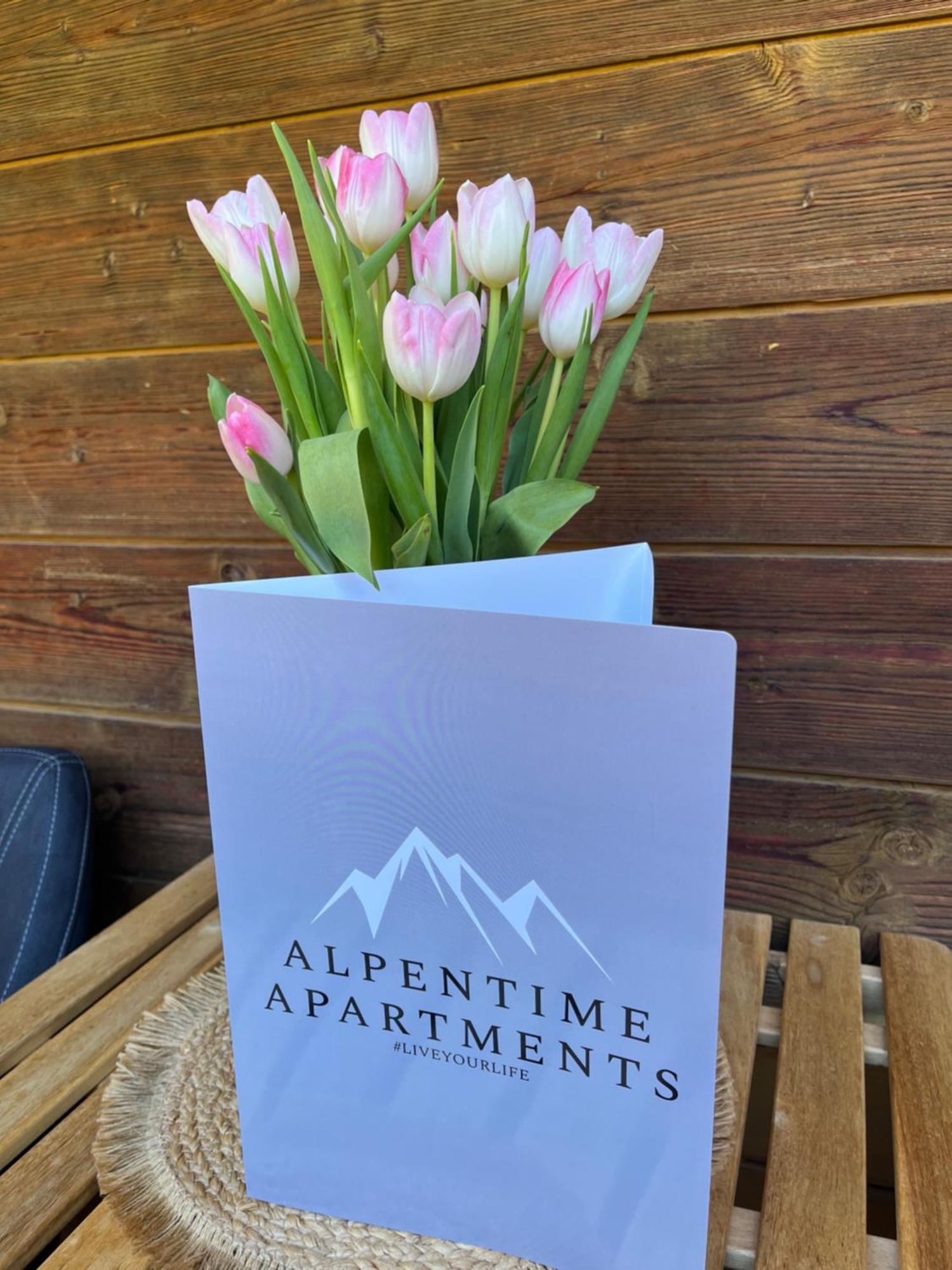 Alpentime Apartments Neustift im Stubaital Eksteriør billede